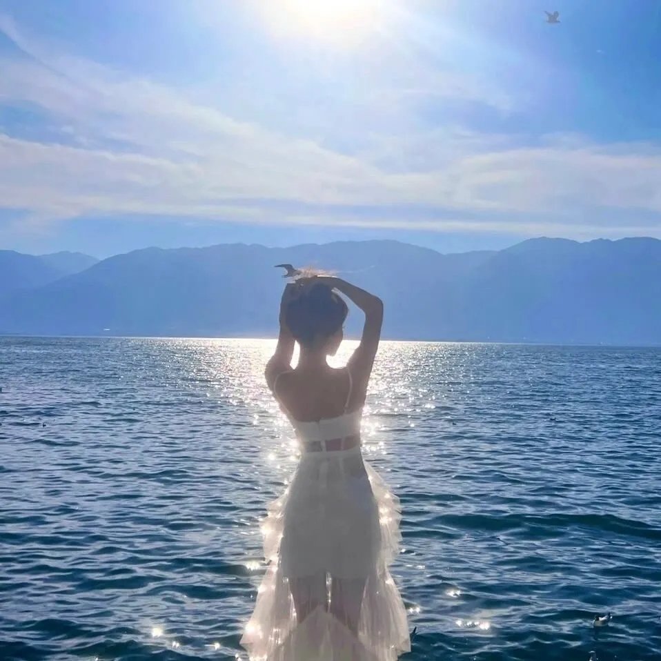 太空堡垒:暗影编年海报